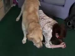 Dog xxx crushed the gorgeous masked babe.